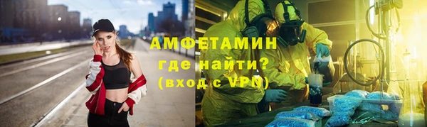 хмурый Аркадак