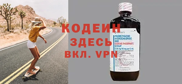хмурый Аркадак