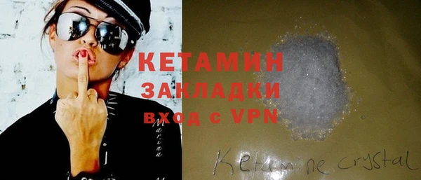 хмурый Аркадак