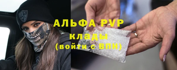 хмурый Аркадак