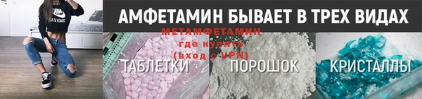 хмурый Аркадак
