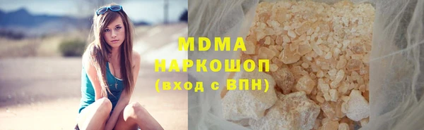 хмурый Аркадак