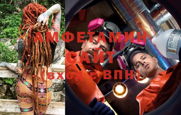 хмурый Аркадак